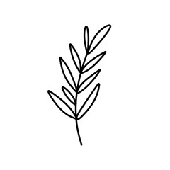 brunch and frames icon
