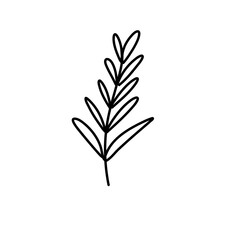 brunch and frames icon
