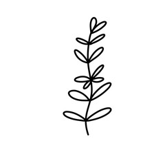 brunch and frames icon
