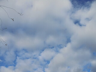 very beautiful blue sky with white clouds