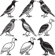 Line art silhouette bird set icon design 