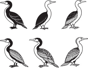 Naklejka premium Line art silhouette bird set icon design 