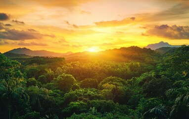 Sunset over a vibrant green jungle canopy