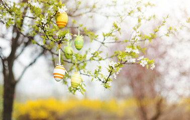 Colorful easter eggs on branch of blooming tree outdoor in park or garden. Spring garden on background