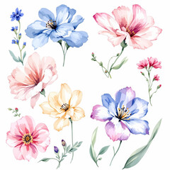 Watercolor Flowers set, hand-painted colorful flowers realistic for creative project, decor and design