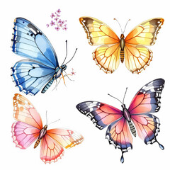 Naklejka premium Butterfly collection. Watercolor illustration. Colorful butterflies clipart set. Baby shower design elements. Party invitation, birthday celebration. Spring, summer decor