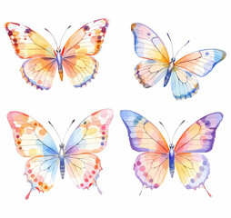 Butterfly collection. Watercolor illustration. Colorful butterflies clipart set. 