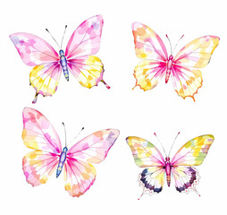 Butterfly collection. Watercolor illustration. Colorful butterflies clipart set. Baby shower design elements. Party invitation, birthday celebration. Spring, summer decor