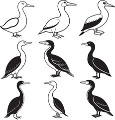 Obraz premium Line art silhouette bird set icon design 