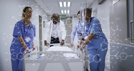 Image of scientific data processing over diverse doctors