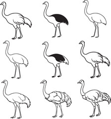 Line art silhouette bird set icon design 