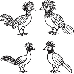 Fototapeta premium paradise bird line art design 