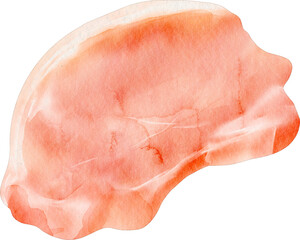 watercolor pork