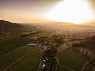 Fields of my Country at sunset 1 in the south Chile
