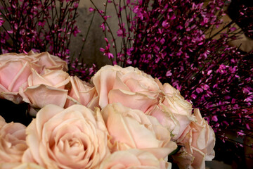 Bouquet de roses roses pâle et branches de Salix