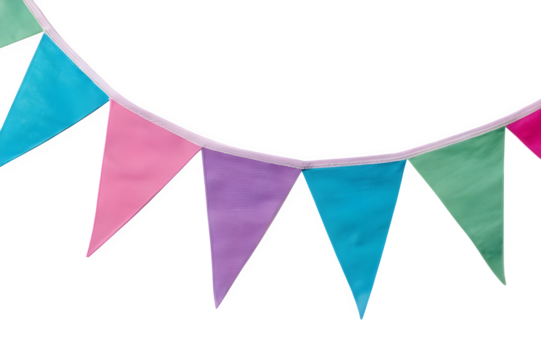 Row of triangular bunting flags in vibrant Holi colors, hanging in a slightly curved formation on a white background.
