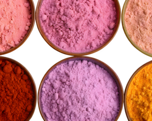 Top-down view of multiple round plates filled with vibrant Gulal powders, neatly arranged in a circular pattern on a white background.
