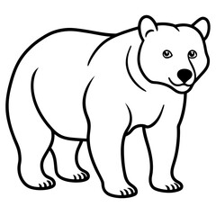 Bear line art vector