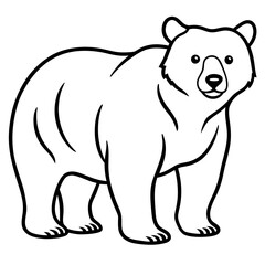 Bear line art vector