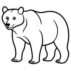 Bear line art vector
