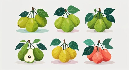 Obraz premium Set bundle of guavas minimalist childish style illustration on plain white background