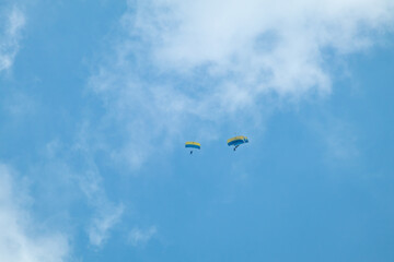 Skydivers with Yellow-Blue Parachutes in Formation