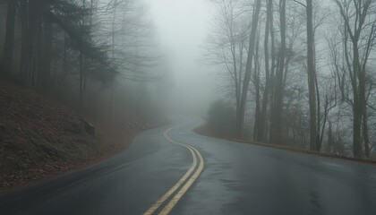 Foggy Forest Road Winding Asphalt Path on an Overcast Day