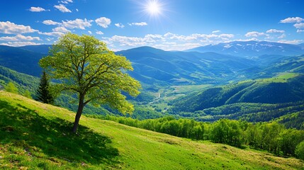 Fototapeta premium Green Tree on Hillside Overlooking Lush Mountain Valley