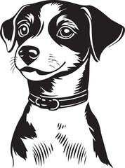 vector illustration of a jack russell terrier dog with collar