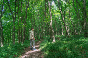 A young tourist stands amidst a backdrop of captivating forest scenery exploring forest and enjoying his solo trip.