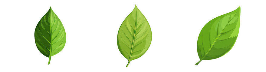 Obraz premium Fresh Green Leaves Collection for Natural Design and Backgrounds