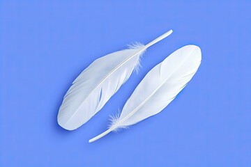 Two white feathers on a vivid blue surface
