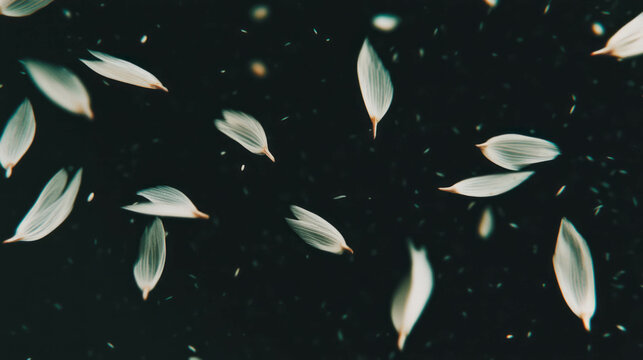 Ethereal background of drifting cumin seeds for nature and spice-themed designs