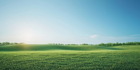 Obraz premium 3d background minimalistic mockup with space for text, vast green meadow under a clear blue sky with soft sunlight