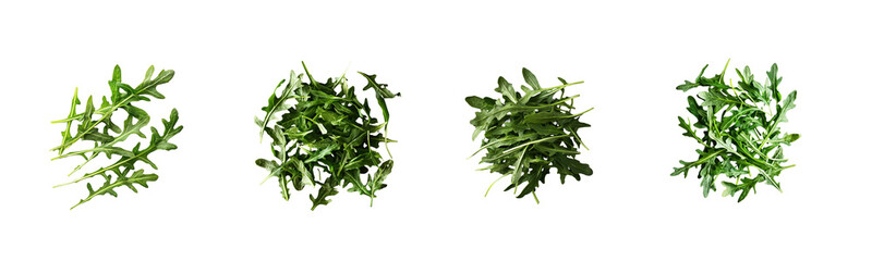 Fresh Green Arugula Leaves on Black Background for Culinary Uses