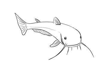 catfish digital illustration drawing isolated