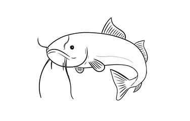 catfish digital illustration drawing isolated