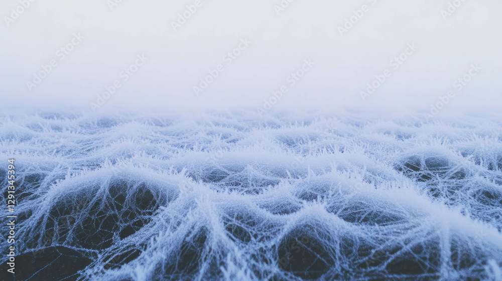 Poster frost covered spiderweb with icy textures for winter design or background themes