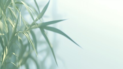 Soft Green Plant Leaves on Light Background