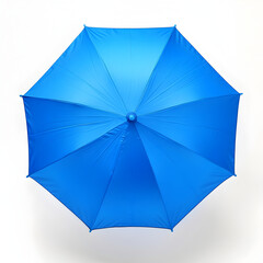 Blue Umbrella: Rain Protection