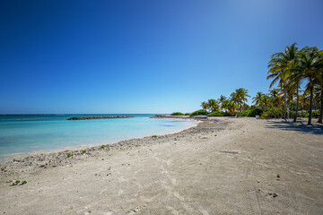 Beautiful tropical view with palms and ocean