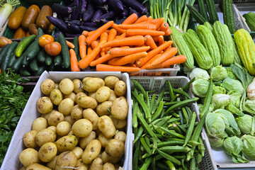 A colorful assortment of fresh vegetables including potatoes, carrots, cucumbers, eggplants, okra, bitter gourd, and lettuce displayed at a bustling local market.