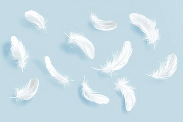 Obraz premium Delicate White Feathers Floating on Light Blue Background