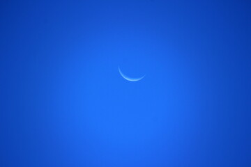 三日月　Crescent
