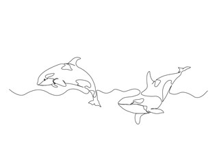 Continuous one line drawing of orca whale in the sea. Killer whale  in single line draw illustration. Editable stroke.