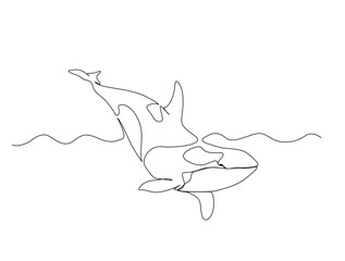 Continuous one line drawing of orca whale in the sea. Killer whale  in single line draw illustration. Editable stroke.