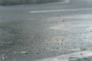 after the rain