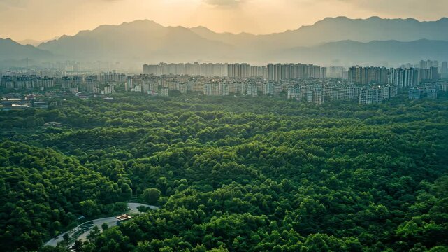Vast green forest contrasts with urban landscape and mountains at sunset, Aerial view of cities behind green forest with mountain background, Henan, China