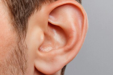 Anatomy of the human ear close-up study science lab detailed image medical environment educational insight