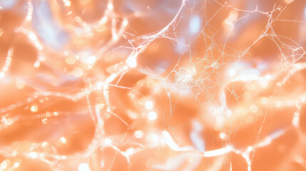 Enchanting spiderweb background illuminated by warm firelight for atmospheric design